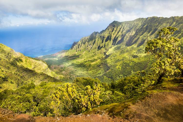 Kaua'i Area Guide Kauai Prime Realty LLC